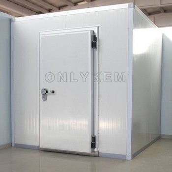 energy saving cold camera room for frozen meat / chicken