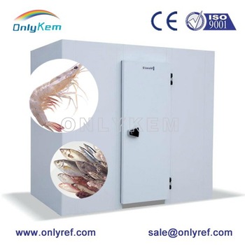 walk in camera deep freezer for prawns