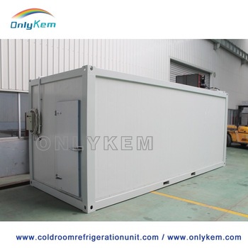 quick-frozen durian cold storage