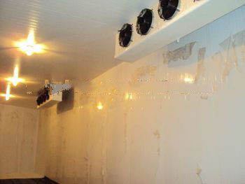 Blast Freezer -30C for vegitables