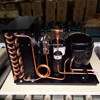 110V/220V Small refrigeration freezing condensing units for sale