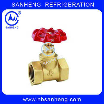 Brass gate valve CV