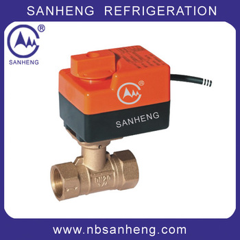 Electric motorized brass zone valve