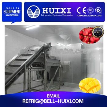 Strawberry Frozen <font color='red'>IQF</font> Blast <font color='red'>Freezer</font> <font color='red'>Quick</font> <font color='red'>Freezer</font>