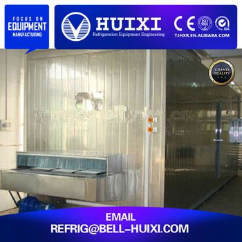 Fish Instant <font color='red'>Quick</font> Deep <font color='red'>Freezing</font> <font color='red'>Machine</font> For Sale