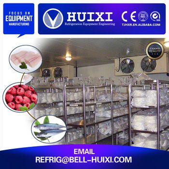 Low Temperature Food Storage Cold Room for Sale