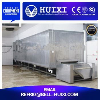 Food Processing Machine Quick Freeze Tunnel Machinery