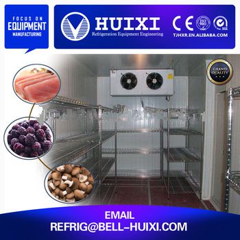 2015 Hot Sale Variable Temperature Cold Room for Fish