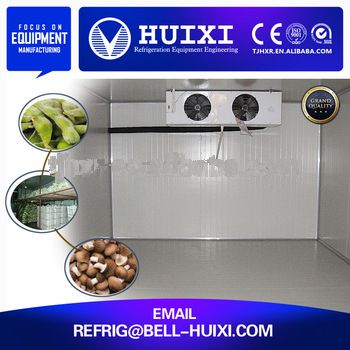 Popular Sale Small Size Special Fresh Cold Room