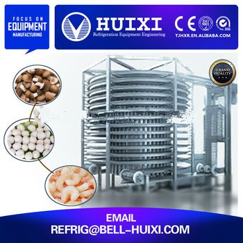 Ice Cream IQF Quick Frozen Equipment