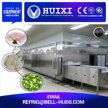 <font color='red'>Fish</font> and <font color='red'>Meat</font> IQF Conveyor Industrial <font color='red'>Freezing</font> <font color='red'>Equipment</font>