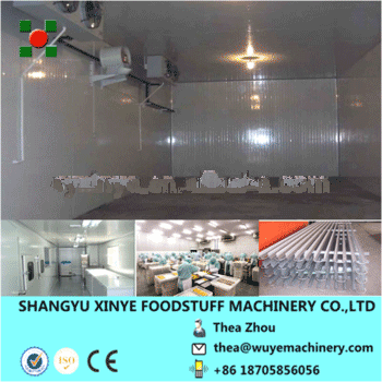 cold room/cold storage room/cold storage freezer