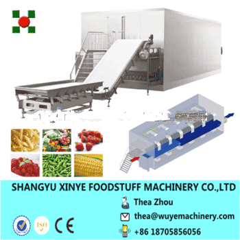 Freeze fruit and vegetable machine/IQF quick freezer/small blast freezer