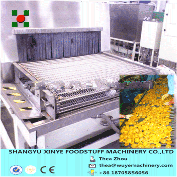 Frozen Fruit Processing Line/ Fruit Quick Freezing Machine
