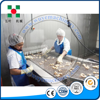 durian quick freezing iqf tunnel freezers/fruit and vegetable industrial iqf machine