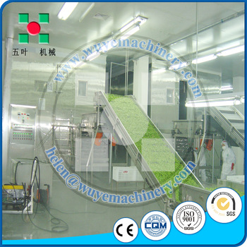 hot sale fruits and vegetables blast freezer type iqf tunnel freezer