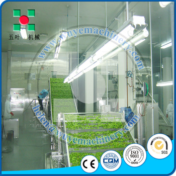 vegetable quick freezing blast iqf tunnel freezer type industrial freezer