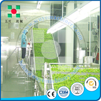 IQF tunnel freezer,blast freezer machine for broccoli sea food quick freezing with liquid nitrogen