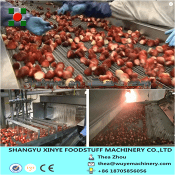 Quick Freeze Strawberry IQF Tunnel Machiner