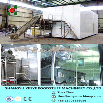 Green Beans Quick Freeze Machine