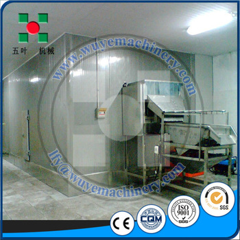 Vegetable IQF Fludization Tunnel Quick Freezer