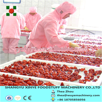 Frozen Strawberry Quick Freezing Line/Fruit Tunnel Freezing Process line