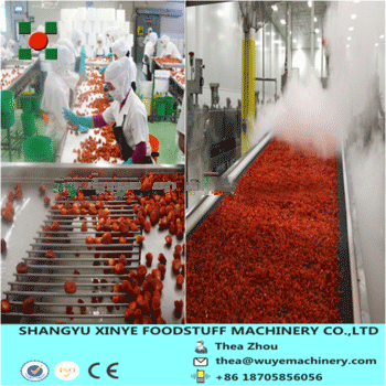 Strawberry Frozem Processing Line/Quick Freezing Strawberry Plant