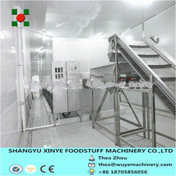 Peas Fludization Tunnel Quick Freezer