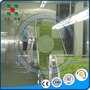 IQF 1000 green soybean Flas Blast Quick Freezer China Instant Freeze Freezer Machine