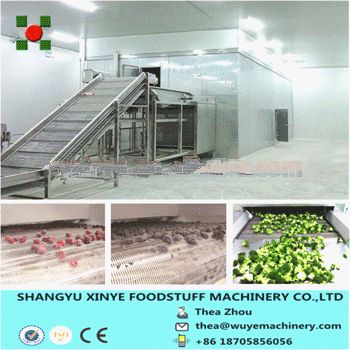 IQF Frozen Line For Fruit And Vegetables