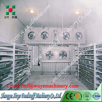 Blast freezer/Meat chicken blast freezer mahcine/fish flash freezer