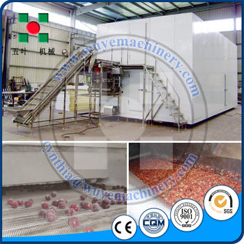 Industiral <font color='red'>Freezing</font> <font color='red'>Food</font> Corn Tomato IQF <font color='red'>Fast</font> Quick <font color='red'>Freezing</font> Blast Freezer Equipment