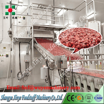 Food Blast Freezer For Freezing raspberry Industrial Freezer Equipment