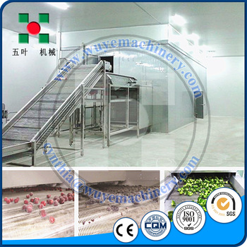China Xinye ISO Certification Quick Freezer Fast Freezing Equipment Freezers
