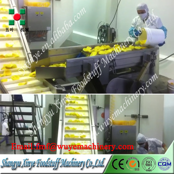 iqf mango industrial quick freezing machine mango blast freezers