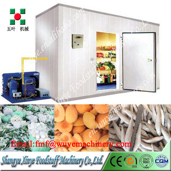 Cold Refrigeration Freezing Room For Fish/Cold Room Manufacturers