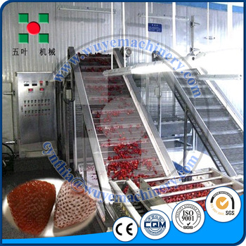 <font color='red'>IQF</font> <font color='red'>Fruit</font> Big <font color='red'>Fluidized</font> Blast Freezer <font color='red'>Strawberry</font> Blueberry <font color='red'>IQF</font> <font color='red'>Quick</font> <font color='red'>Freezing</font> Freezer