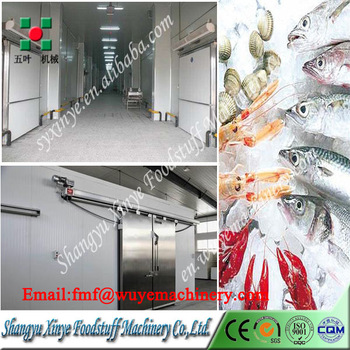 Fruit and vegetable cold room blast freezer cold room for meat