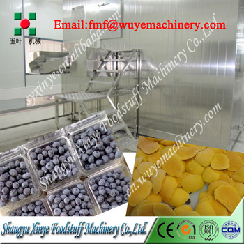 Frozen Fruit Blueberry Machine Type Quick Freezing Equipment for Food Production Line