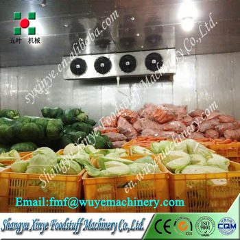 Cold Room For Fruit And Vegetable/Ice Cream Storage Cold Room/Cold Storage Room Price