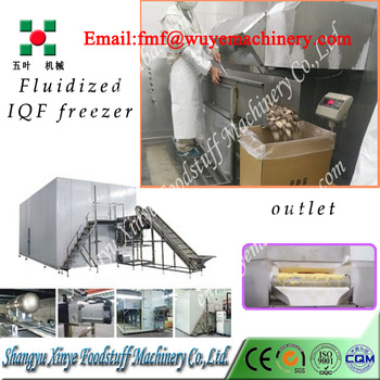 Blast Freezing Mushroom Vegetable Flow Freezer Inustrial IQF Food Freezer
