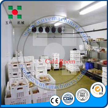 Medium Size Cold Room for Chiller//Refrigerator/Freezer cold room