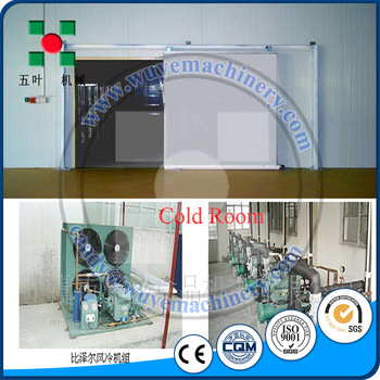 cool room for food storage/With CE certification cool room for sale