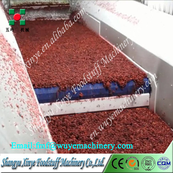 Shaoxing Xinye Blast Freezer Equipment Fruit And IQF Freezer For Freezing Berries