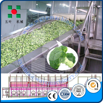 Shangyu Xinye Food Vegetable IQF Quick Freezer Fast Broccoli Freezing Machine