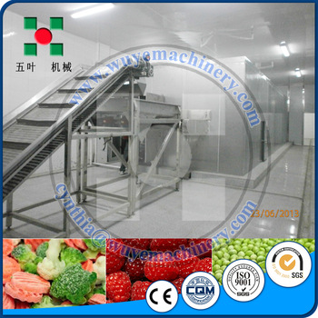 Frozen Food Fluidized Flow Bed Quick Freezing Machine Blast Industrial IQF Freezer Machines