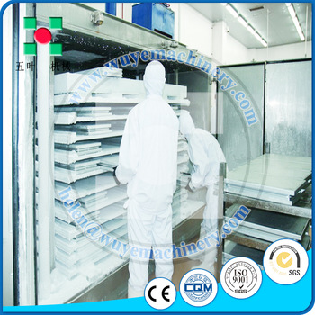 hot sale shaoxing jiesheng BD type mango contact blast plate freezer/cold plate freezer