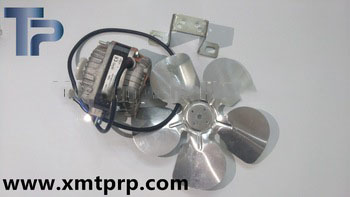 Small size 110 V/ 220V Asynchronous Fan Motors