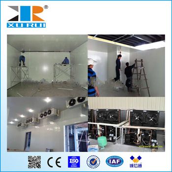 CE certification Fully automatic control system industrial cold storage room price