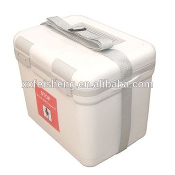 6L plastic ice chest with 48 hours cold life